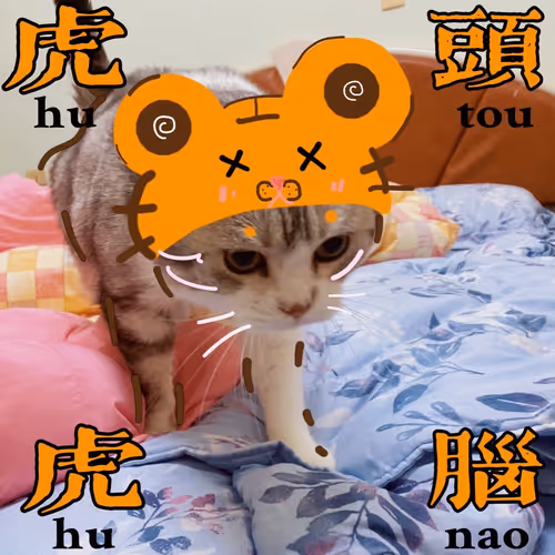 QQCATFROMTAIWAN