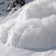 Polar Fun