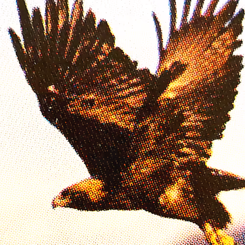 Detroit Urban Collection #253767401