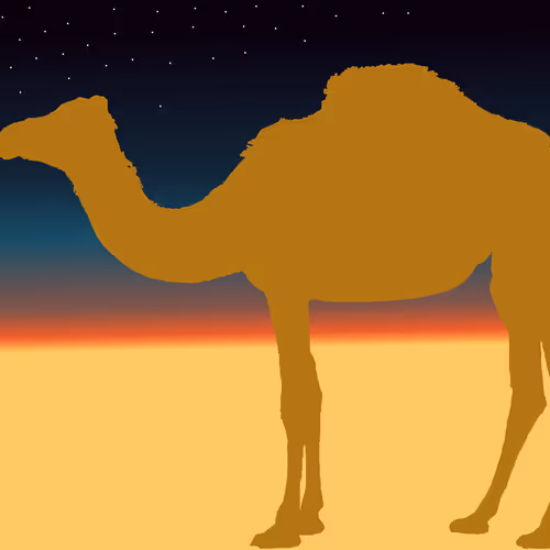 camel-night