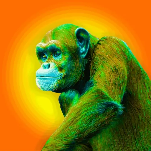Psychedelic Chimp