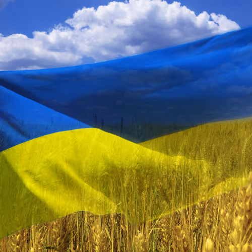 No War in Ukraine DAO