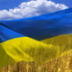 No War in Ukraine DAO