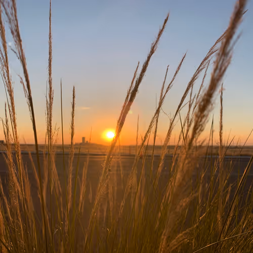 Badly Taken Pictures