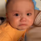 little baby xzy