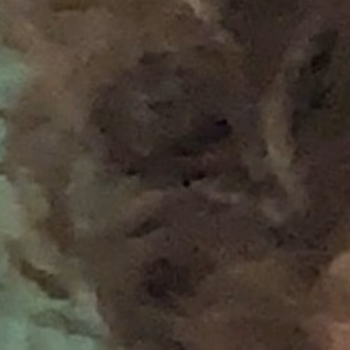 uncut diamond