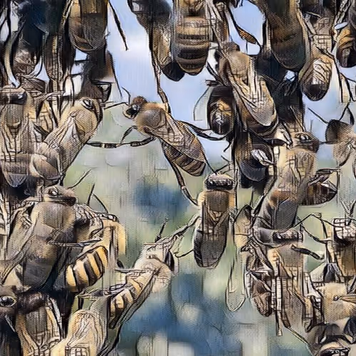 Bees on the freedom