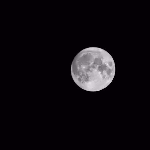 Rise of the Moon