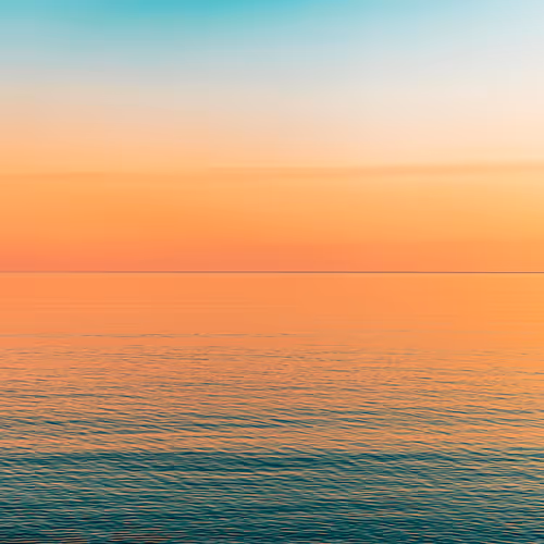 Horizon's Collection