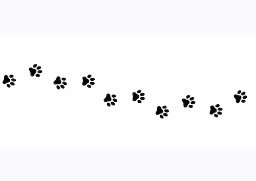 The SmilyDogs
