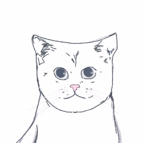 Stray Cato Collections