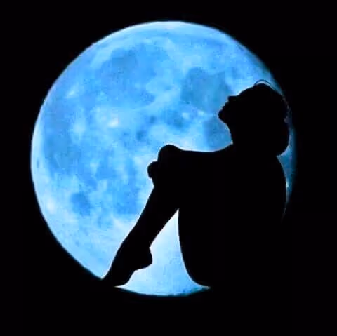 Untitled Collection #28367311