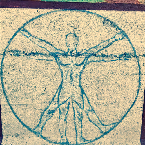 SB Limited Edition #2223