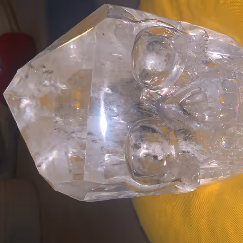 digi shaman skulls