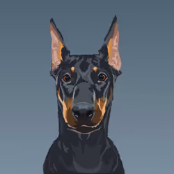 Item Media Placeholder