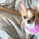 Polly pics #286625949