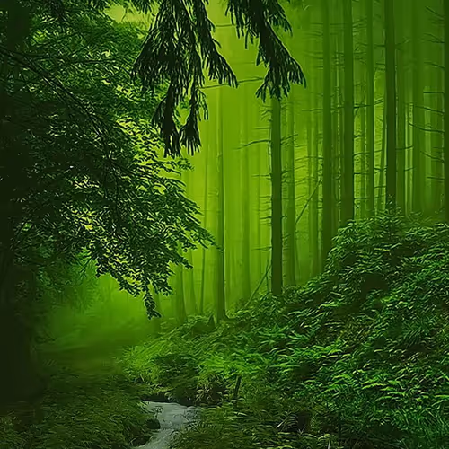 What Nature Can Do