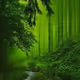 What Nature Can Do