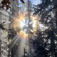 Sunshine Raybeams - old