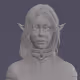 Elvenverse