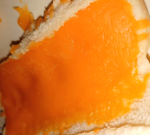 Sillywack Intolerant