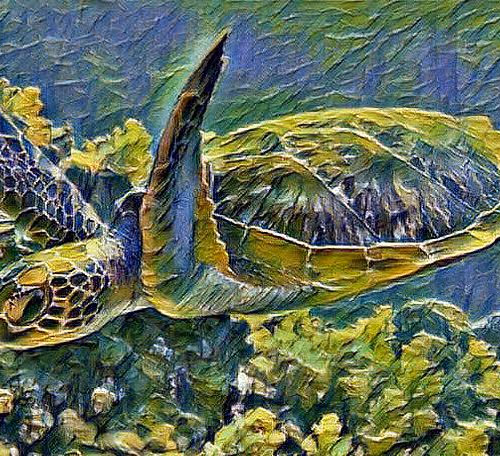 Tartaruga Marinha Diversas Fases