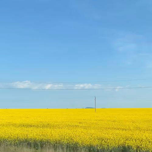 Nature Flags