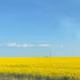 Nature Flags