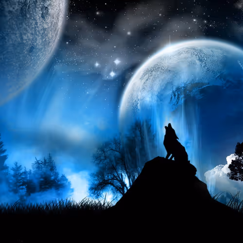 Wolves Imagination #34590015
