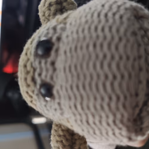 Monkey up to no good