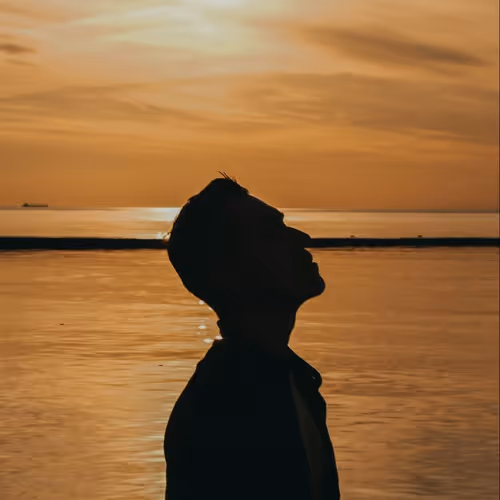 Dawns & Sunsets