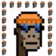 Cryptopunk Collection made