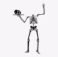 SKULL SILVER