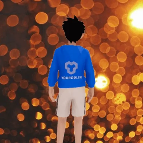 The Safe Investor - old