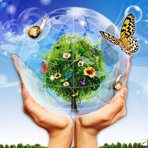 Alex living world - old