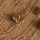 ToTheMars2022
