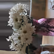 Flowers For Sale