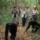 Bored Primates Hiking Club