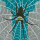 Spider_Art