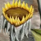 The Sunflowers of Escavitri