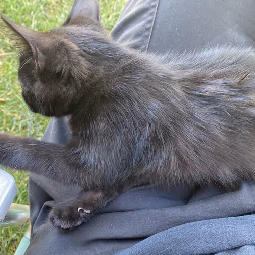 Untitled Collection #4266941655