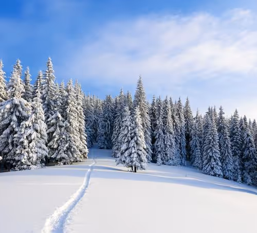 SNOW Part 1