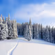 SNOW Part 1