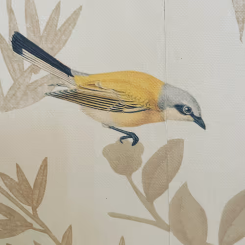 Laz Collection Japan #001