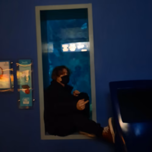 ordinaryphotos