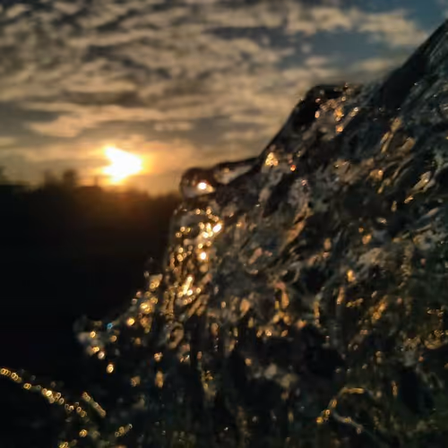 Nature's Collection #1
