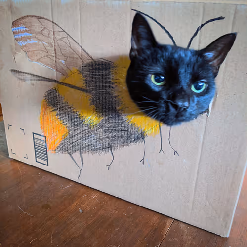 riyan private collection