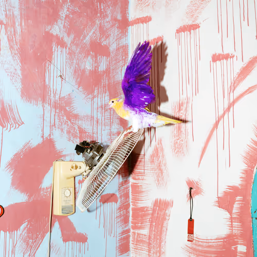 Untitled Collection #45603031