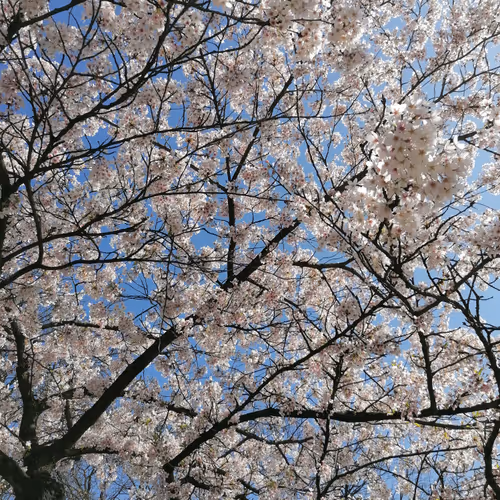 Nature Photography by Gassa