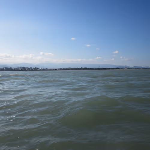 Sarina loves animals